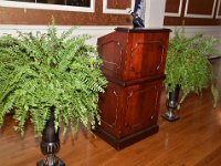xferns1150