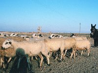QDMSpain1989
