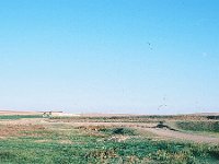 QDMcountryside