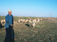 SheepherderSpain89
