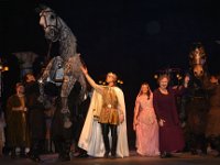 horse8041